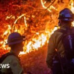 Bagaimana perubahan iklim memperburuk gelombang panas, kekeringan, kebakaran, dan banjir
