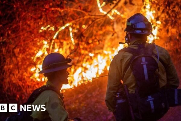 Bagaimana perubahan iklim memperburuk gelombang panas, kekeringan, kebakaran, dan banjir