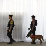 Indonesia tangkap 12 orang karena menyelundupkan bayi ke Singapura