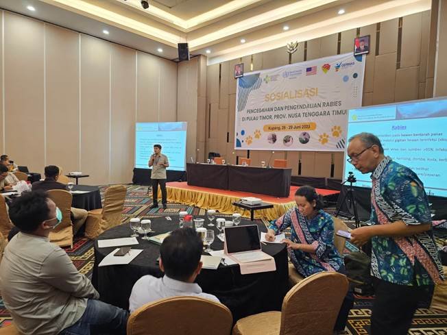 Penanggulangan wabah rabies: Mempercepat pendekatan Satu Kesehatan di Nusa Tenggara Timur