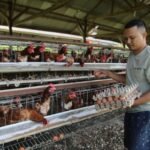 Program hilirisasi pertanian Indonesia untuk menciptakan 8 juta lapangan kerja