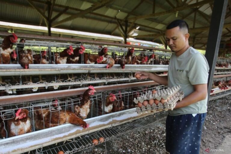 Program hilirisasi pertanian Indonesia untuk menciptakan 8 juta lapangan kerja