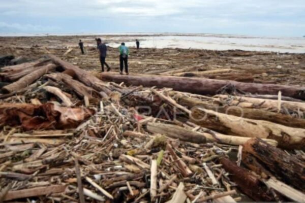 Indonesia menyelidiki 12 perusahaan terkait banjir Sumatra yang mematikan
