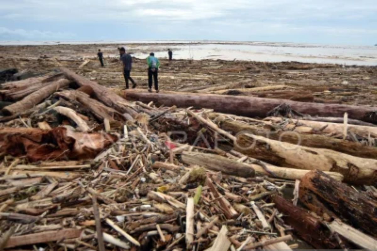 Indonesia menyelidiki 12 perusahaan terkait banjir Sumatra yang mematikan