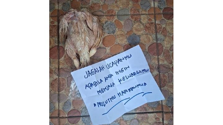 Aktivis Greenpeace Indonesia menyerahkan bukti ancaman berupa bangkai ayam kepada polisi.