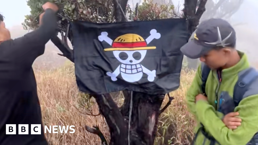 One Piece: Bagaimana sebuah tengkorak kartun menjadi simbol perlawanan di Indonesia