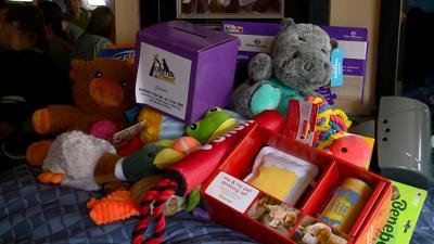 Coulee Region Humane Society menyelenggarakan acara penggalangan dana tahunan Critter Crawl