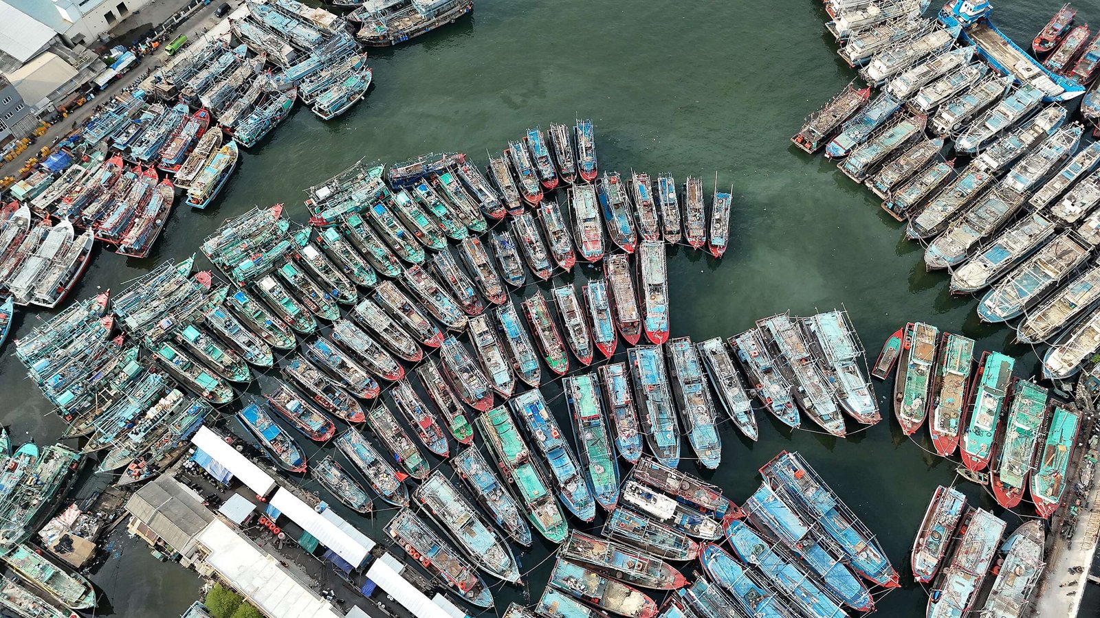 Dipaksa ke Dasar: Memeras Nelayan dan Lautan Indonesia untuk Keuntungan Ikan Tuna yang Tidak Etis