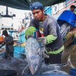 Ekspor Perikanan Indonesia Menurun Akibat Perang di Iran yang Mengganggu Perdagangan