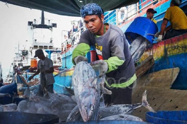 Ekspor Perikanan Indonesia Menurun Akibat Perang di Iran yang Mengganggu Perdagangan