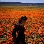 Selamat datang di musim alergi. Berikut cara melindungi diri Anda