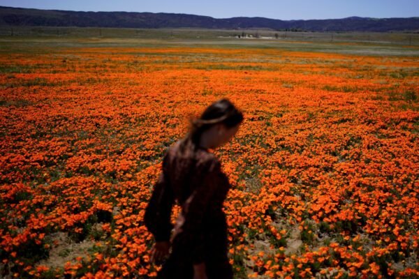 Selamat datang di musim alergi. Berikut cara melindungi diri Anda