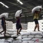 Bulog Indonesia mengincar peluang ekspor berkat permintaan beras dari Malaysia