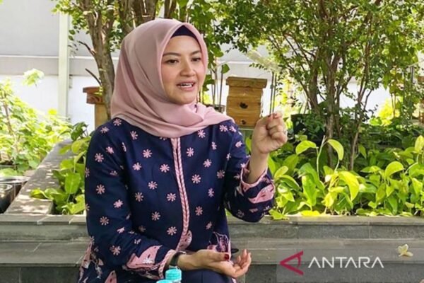 Indonesia menjaga stabilitas energi dengan langkah-langkah yang proporsional: staf