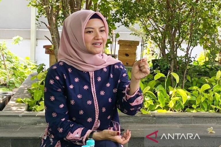 Indonesia menjaga stabilitas energi dengan langkah-langkah yang proporsional: staf