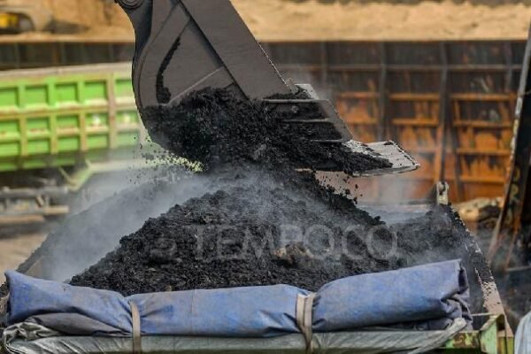 Produksi Batubara Indonesia Mendekati 600 Juta Ton