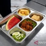 Program makan gratis di Indonesia meningkatkan kesehatan dan mendorong kehadiran siswa di sekolah: BGN