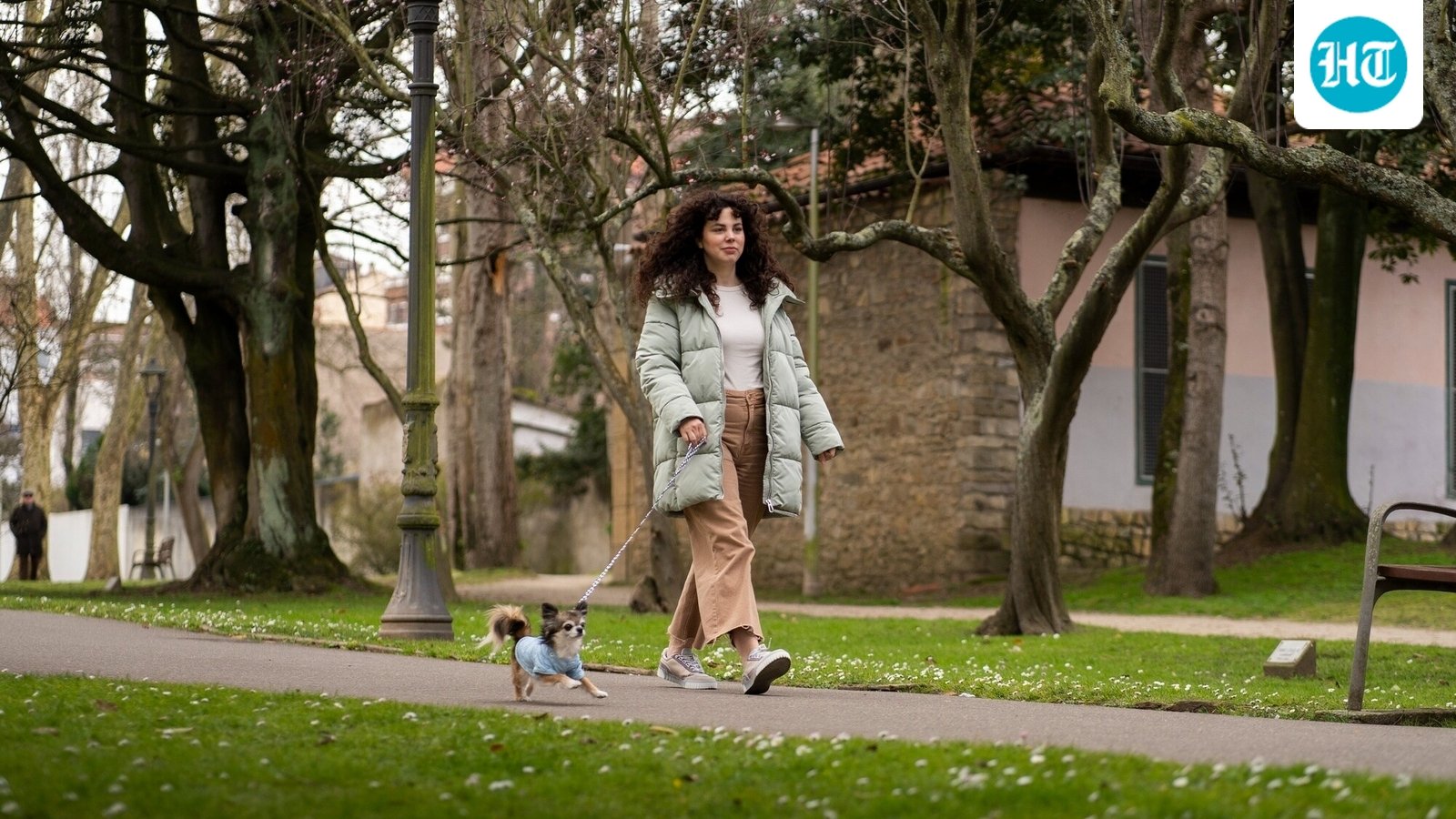 Seorang dokter lulusan Harvard, Columbia, dan Cornell membagikan 'trik rahasia untuk benar-benar mengembangkan otak Anda bahkan saat sudah dewasa': Sangat mudah…