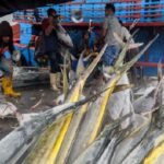 Kebijakan Perikanan Baru Indonesia Bertujuan Mencapai Keberlanjutan dan Pertumbuhan Ekonomi, Kata Seorang Pejabat