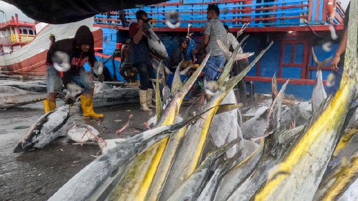 Kebijakan Perikanan Baru Indonesia Bertujuan Mencapai Keberlanjutan dan Pertumbuhan Ekonomi, Kata Seorang Pejabat