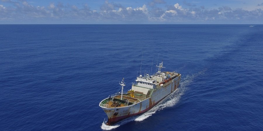 Sea Shepherd Global