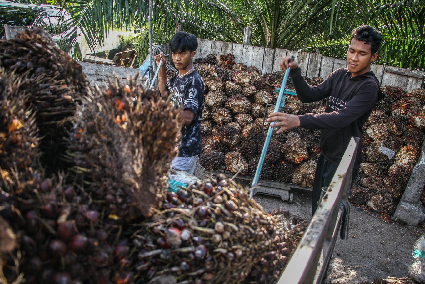Indonesia meminta pengecualian untuk minyak kelapa sawit dalam kebijakan tarif baru AS