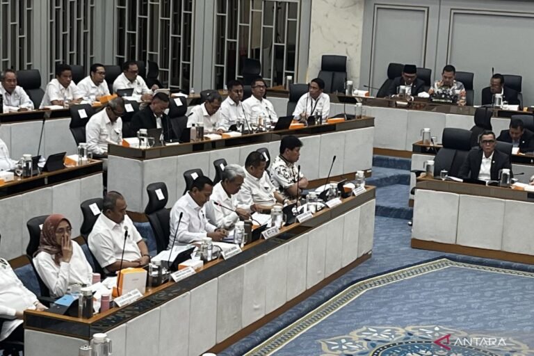 Indonesia memperluas pasar karbon hutan untuk mendorong pertumbuhan hijau