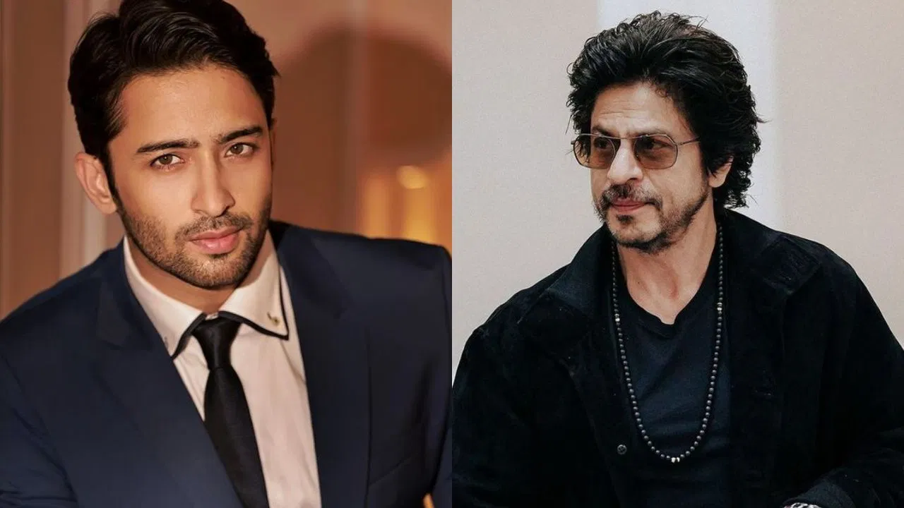 Mengapa Shaheer Sheikh dijuluki "Shah Rukh Khan-nya Indonesia"? Aktor tersebut MENGUNGKAPKAN