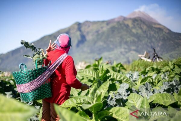 Perekonomian Indonesia tumbuh 5,11 persen berkat konsumsi yang kuat